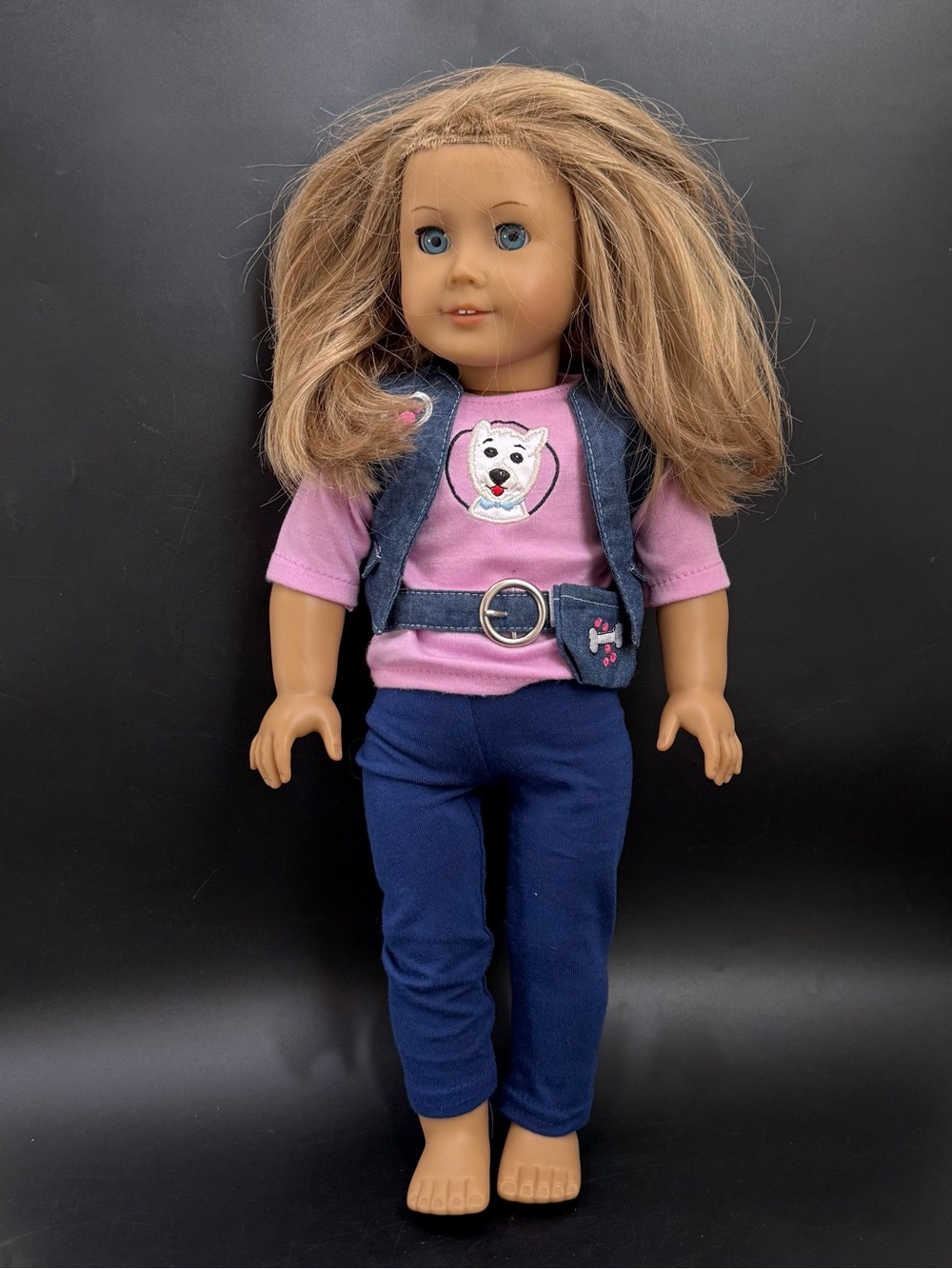 AMERICAN GIRL Truly Me Dress Along Dolly Dog Walker Outfit 18” Doll